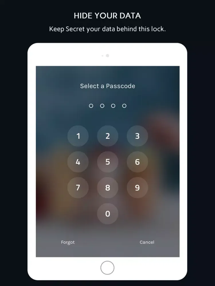 Secret Vault Gallery Plus iPad 應用截圖