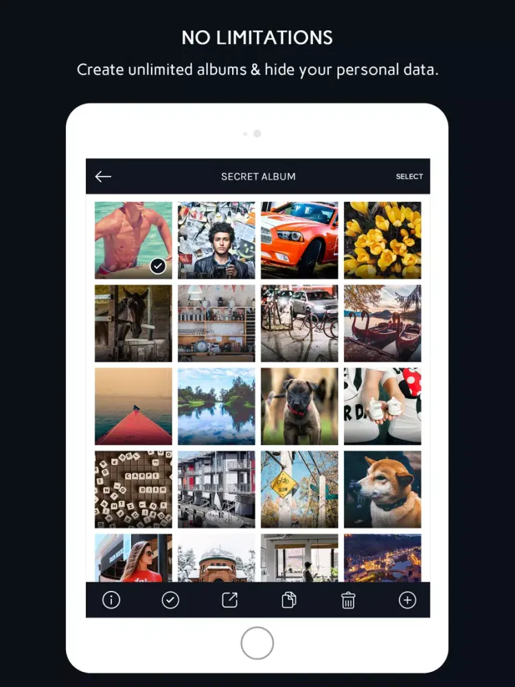 Secret Vault Gallery Plus iPad 應用截圖