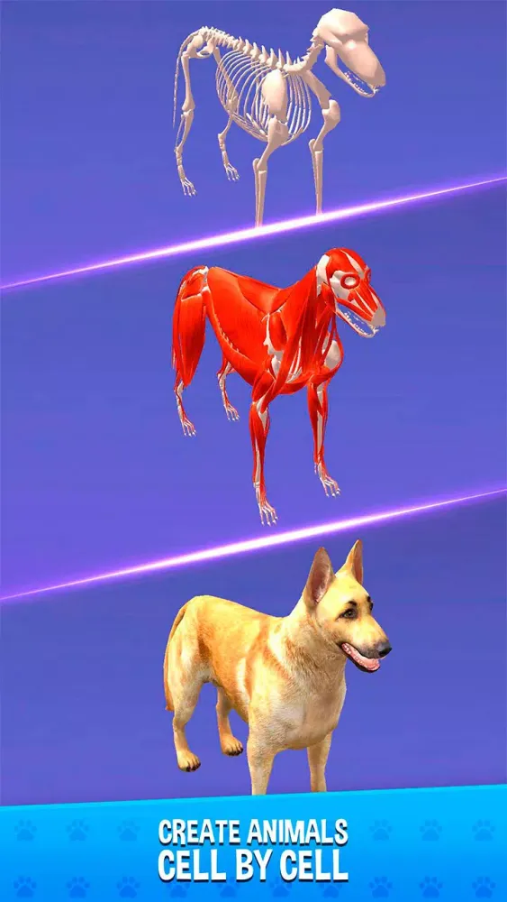 Screenshot di IDLE Animal Anatomy Clicker