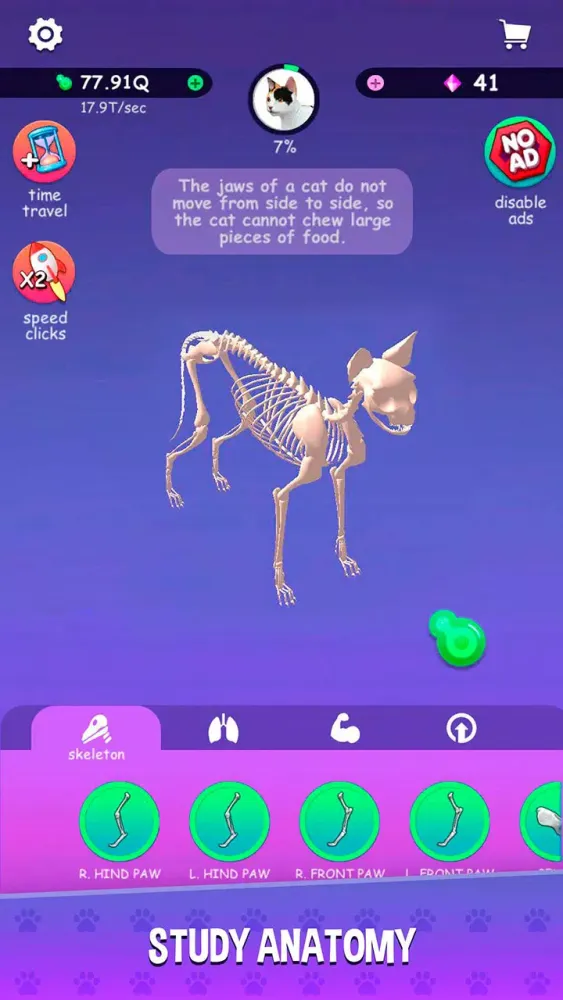 Screenshot di IDLE Animal Anatomy Clicker