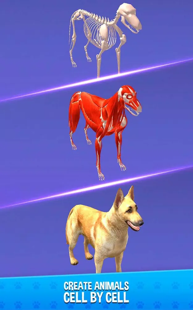 Screenshot di IDLE Animal Anatomy Clicker