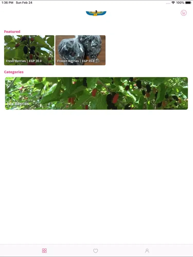 Скриншоты Isis Berry iPad 