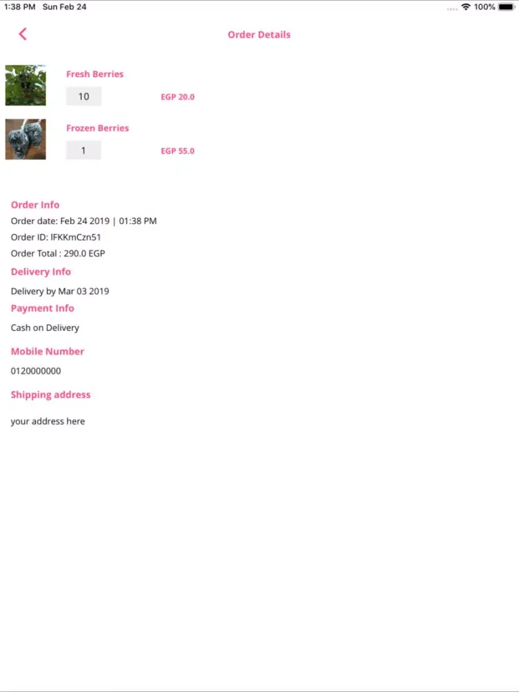 Скриншоты Isis Berry iPad 