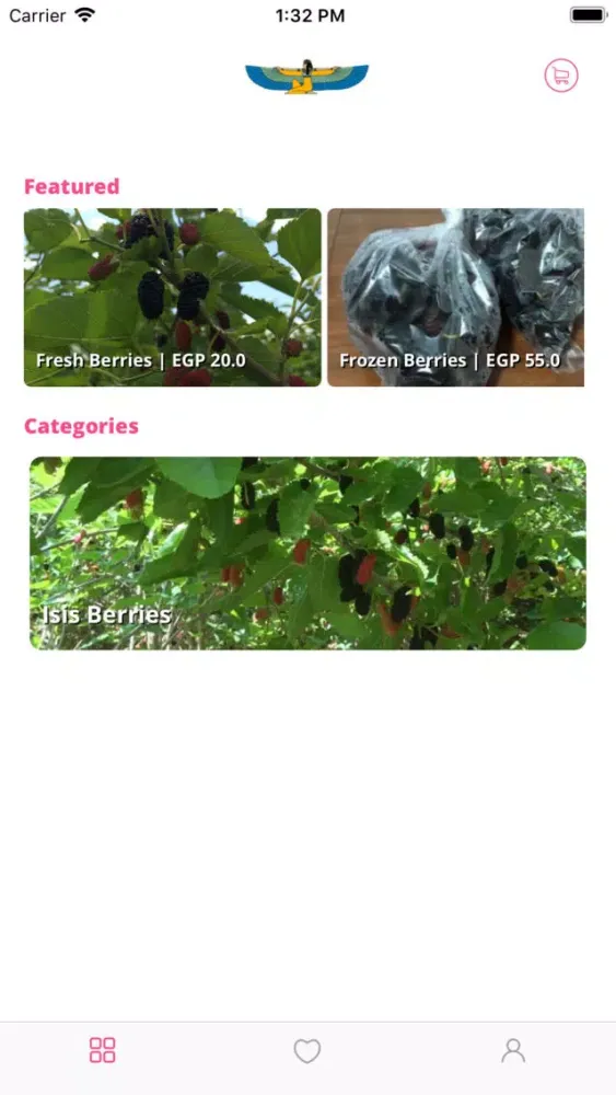 Скриншоты Isis Berry