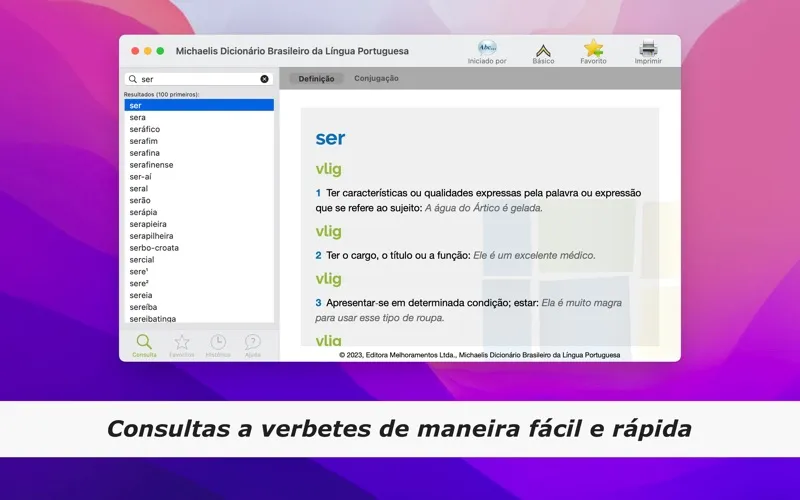 Screenshot di Dicionário Michaelis Português