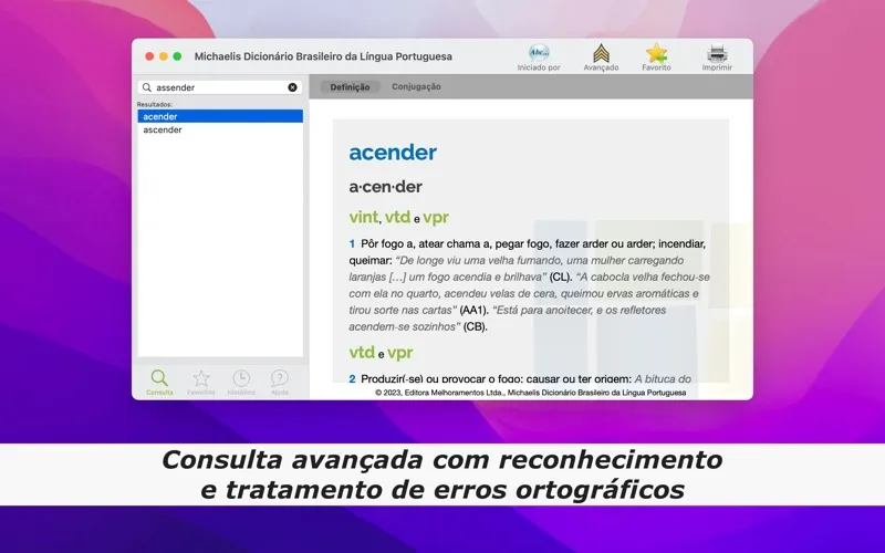 Screenshot di Dicionário Michaelis Português