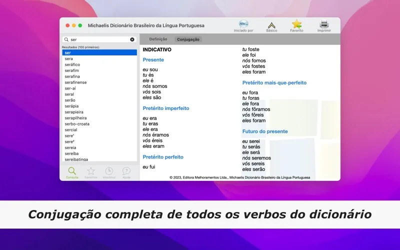 Screenshot di Dicionário Michaelis Português