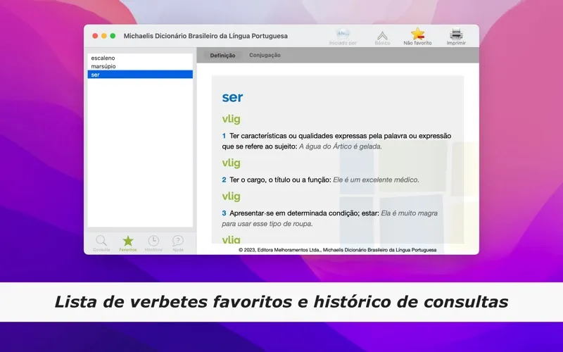 Screenshot di Dicionário Michaelis Português