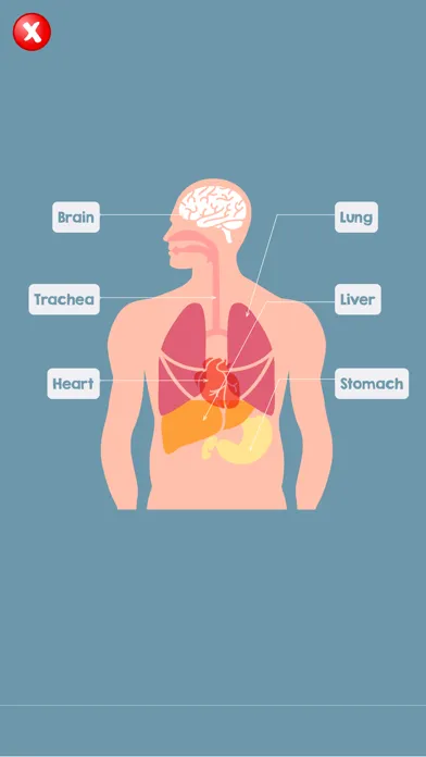 Capturas de pantalla de Human Body Parts Name