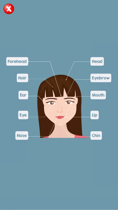 Capturas de pantalla de Human Body Parts Name