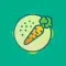 Vegetarian Food Recipes