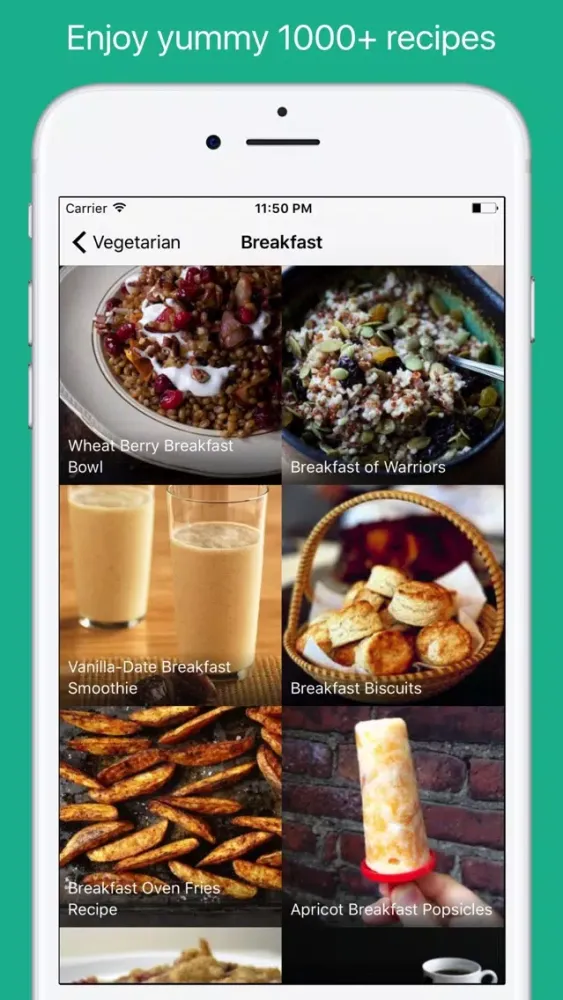 Vegetarian Food Recipes スクリーンショット