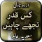 Kis Qadar Tujhe Chaheen