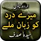 Meray Dard Ko Zuban Mily - Urd