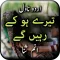 Tery Ho Kay Rahen Gay