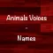 Animals Voices - Names