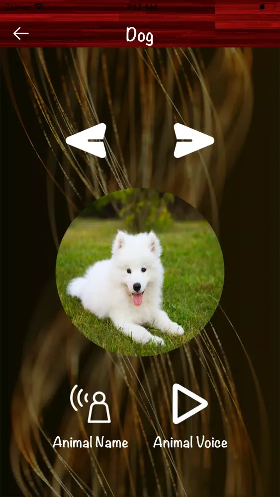 Animals Voices - Names Screenshots