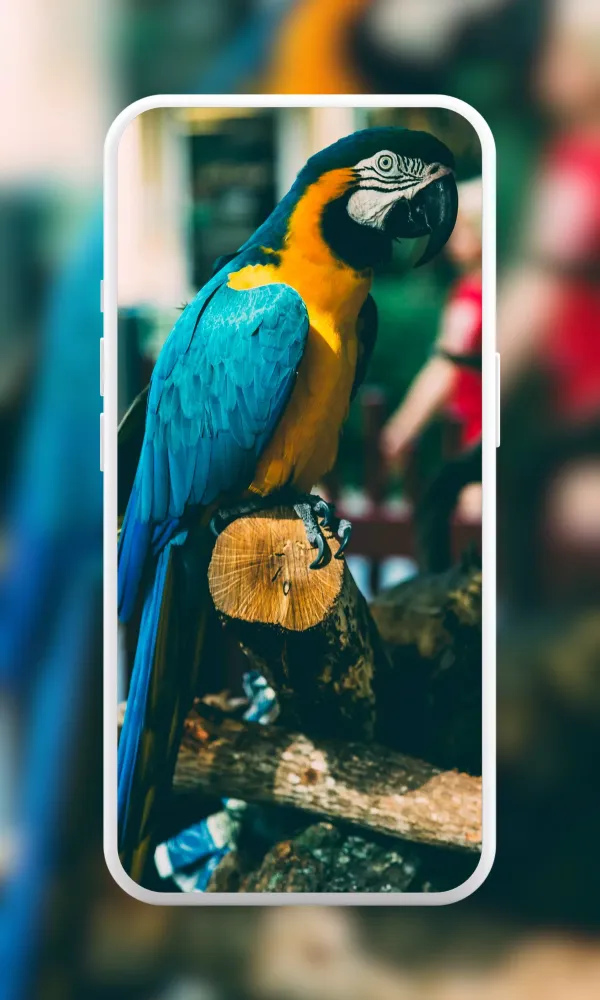 Realme C53 Wallpaper Screenshots