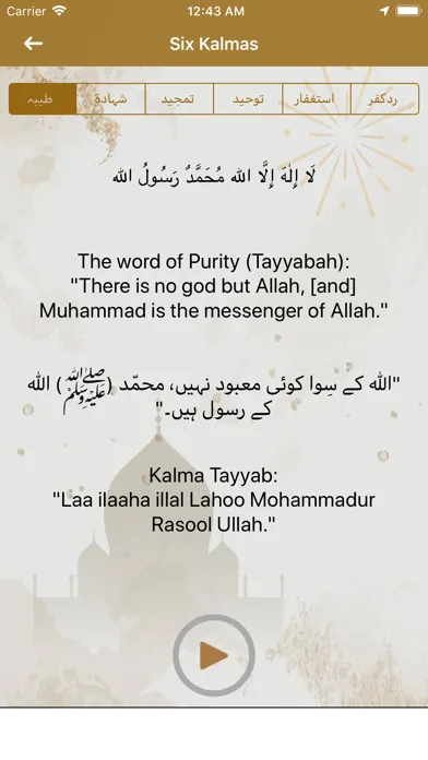 Capturas de tela do Ramzan Pro - Quran & Calendar