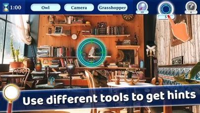 Hidden Objects 5 in 1 Screenshots