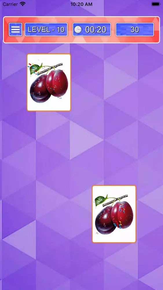 Picture Match Brain Game Screenshots