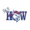 96.9 the Kow