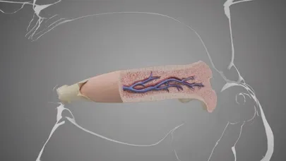 Virtual Reality Human Body! Screenshots