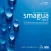SMAGUA 2016