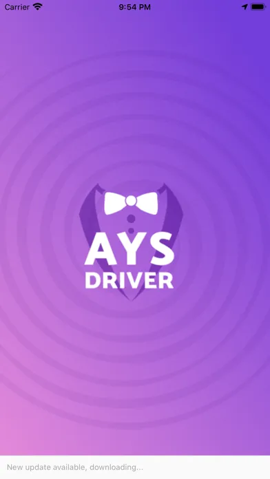 Ảnh chụp màn hình của AYS Driver