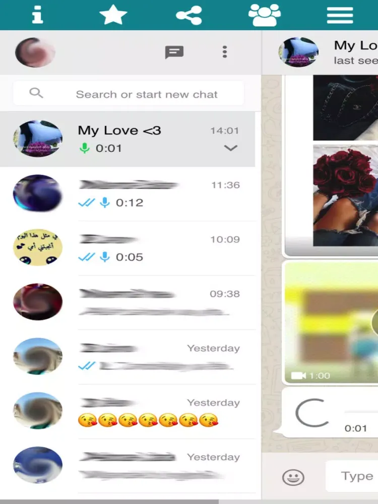 صور Whatscan Pro for Whatsweb iPad 