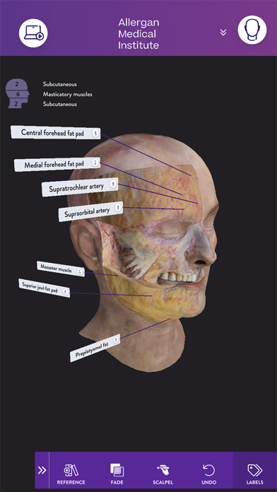 AMI Facial Anatomy and Cadaver Ekran Görüntüleri