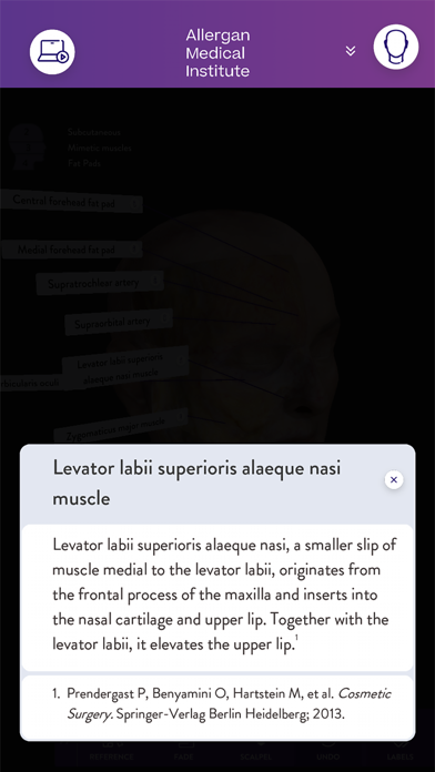 AMI Facial Anatomy and Cadaver Ekran Görüntüleri