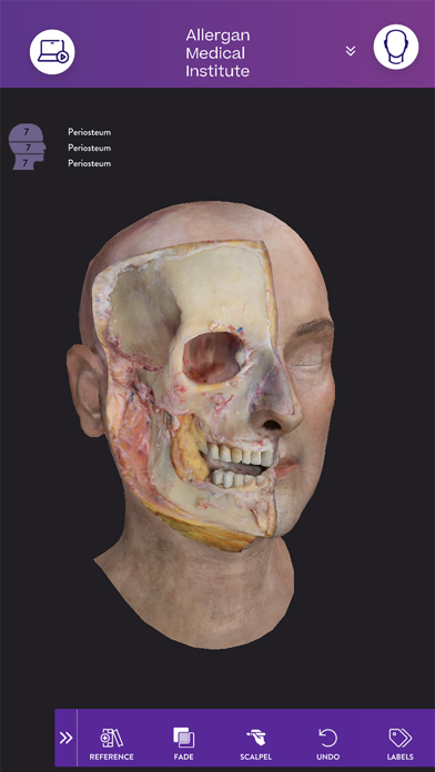 AMI Facial Anatomy and Cadaver Ekran Görüntüleri