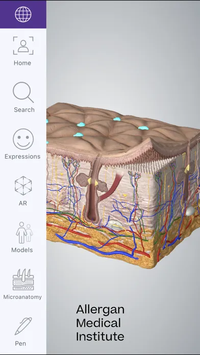 Captures d'écran de AMI Facial Anatomy