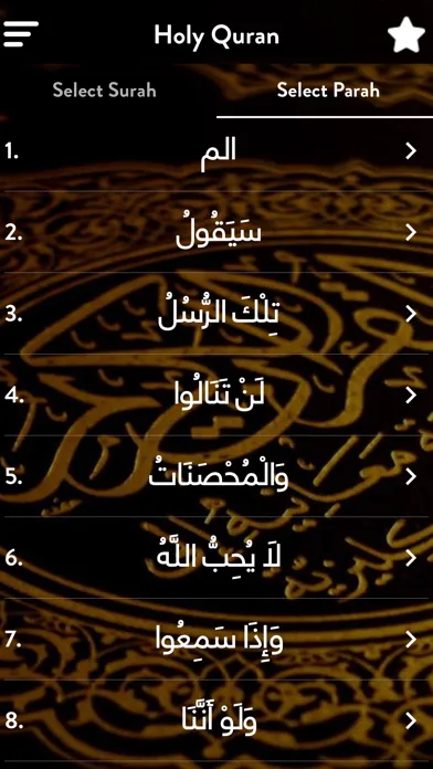 ภาพหน้าจอของ Abdul Rahman Sudais
