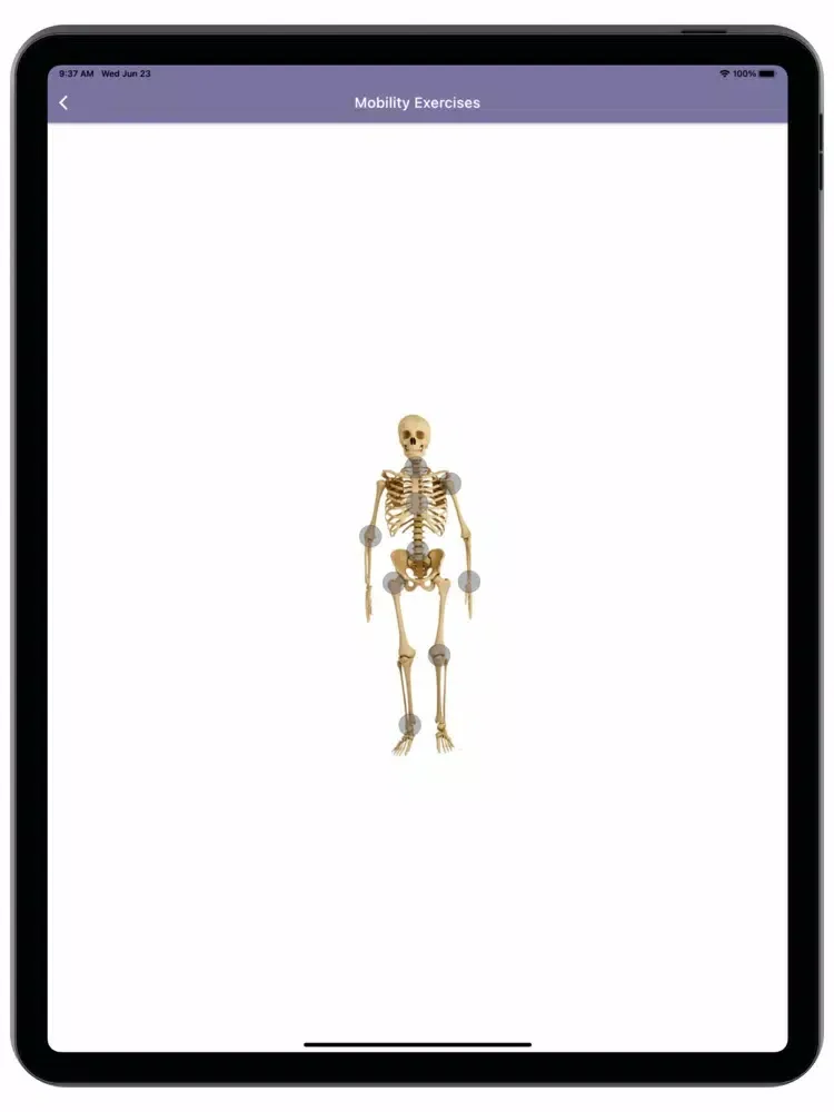 تصاویر Dynamic Mobility iPad 