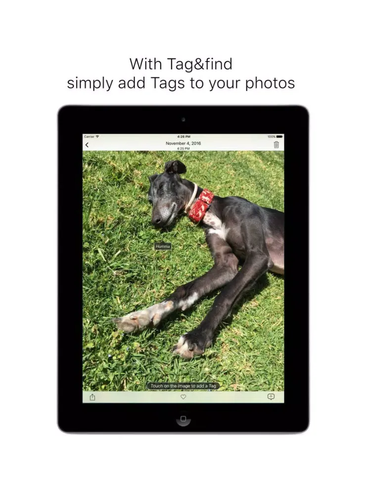 Screenshot di Tag&find iPad 