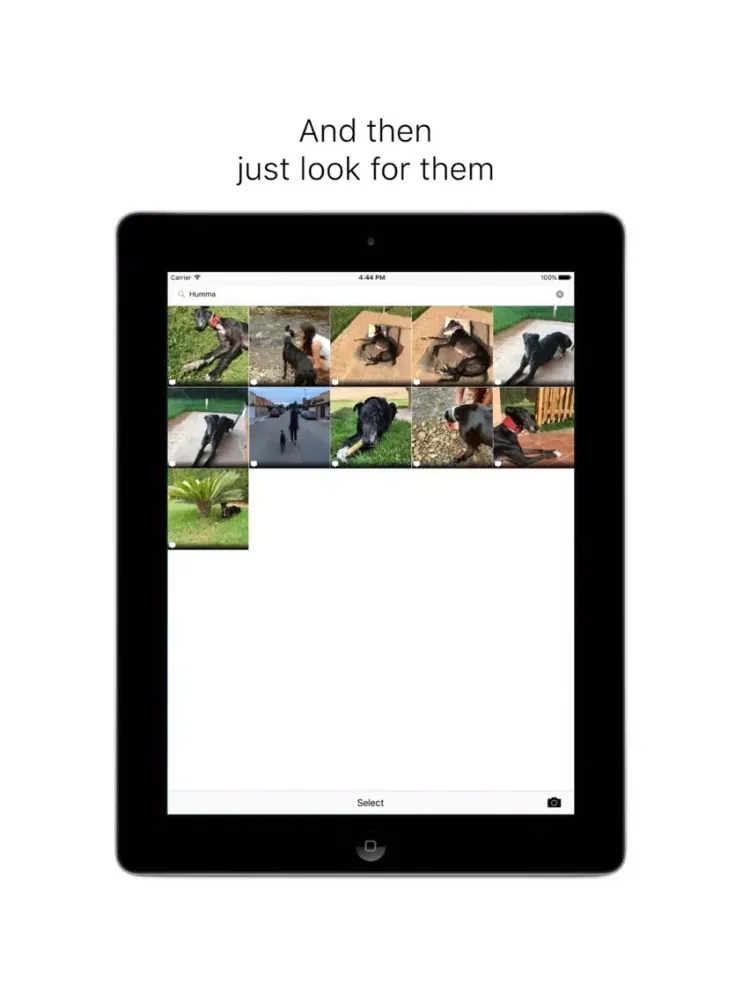 Screenshot di Tag&find iPad 
