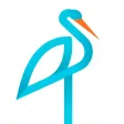 Rebird