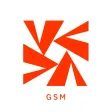 AS GSM