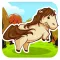 A Baby Horse Run - Jumping Horses Race Games