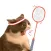 Cat Meme Sport