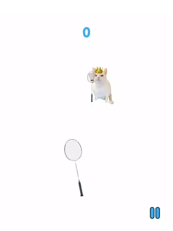 Cat Meme Sport iPad  Ekran Görüntüleri