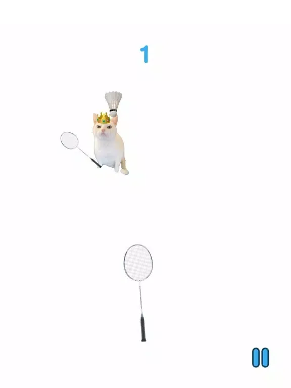 Cat Meme Sport iPad  Ekran Görüntüleri