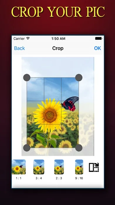 Zrzuty ekranu PHOTO CROP ++  Photo Crop Editor With Extra Tools