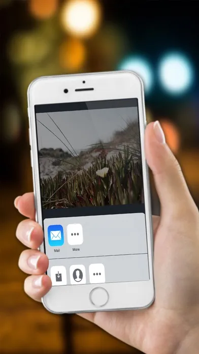 Captures d'écran de Photo Live Filters - Pic Editor Studio