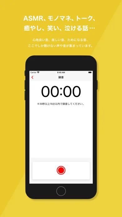 Speech应用截图