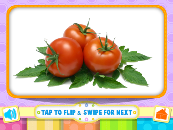 Flash Cards All In One iPad  स्क्रीनशॉट