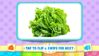 ภาพหน้าจอของ Flash Cards All In One