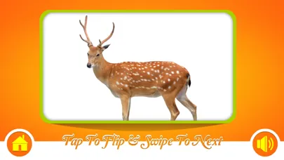 Captures d'écran de Flash Cards - Animals - HD
